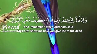 بلبل القرءان عليه رحمة الله