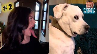 Tiktok Funny videos #2