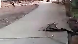 TEST DRIVE?????????????