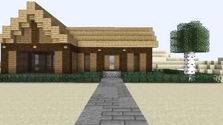 Best Minecraft Optical Illusions