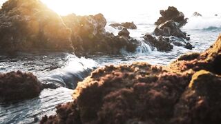 NATURE 30009,United States, Canada, Australia, UK