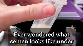 Semen under the microscope