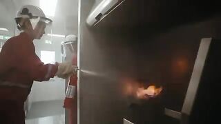 Behind The Scenes What Does it Take to Become a Cabin Crew