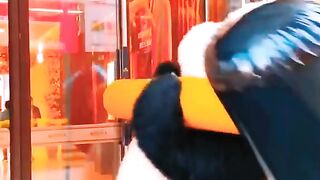 panda funny video plz enjoy it