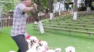 very interesting video