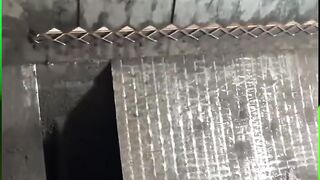 The Ultimate Smart Shower