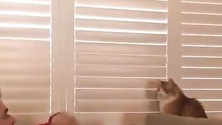 Cat wins!