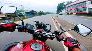 Hornet????