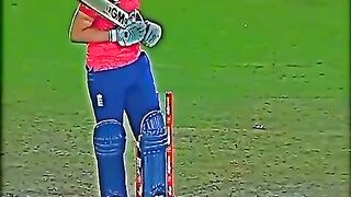Cricket