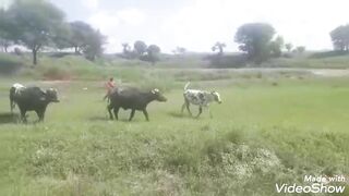 Beautiful  Place And Beautiful  Grassland  Pakistan