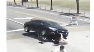 Humanity is above everything