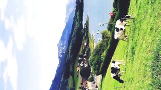 Beautiful Scenery with Beautiful Animals