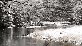 Winter day