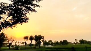 Desi Mahol