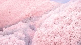 natural wonder