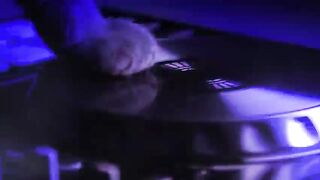 Cats-Rave