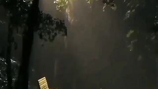 Beautiful view of nature