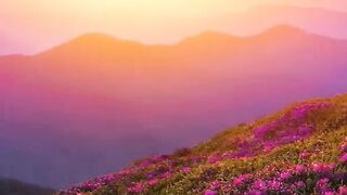 Beautiful view of nature