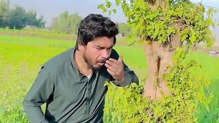 Mere Darakht Se Shehd Nikla !! Khizar Omer