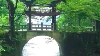 Beautiful view of nature