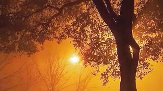 Beautiful view of nature