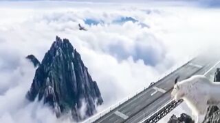 Beautiful view of nature