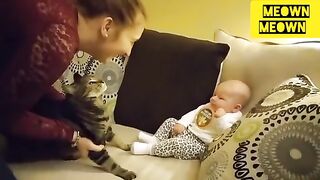 Baby Cats - Cute baby and Funny Cat Videos Compilation #01 | Meown Meown
