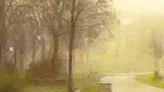 Beautiful view of nature