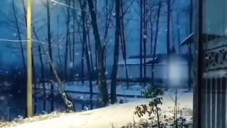 Beautiful view of nature