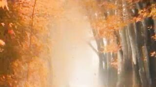 Beautiful view of nature