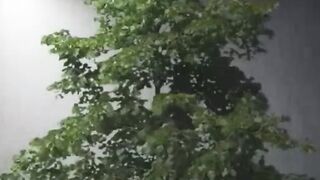 Beautiful view of nature
