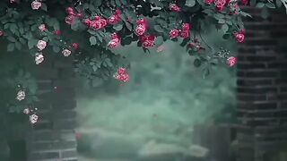 Beautiful view of nature