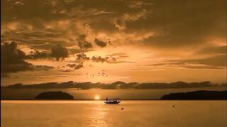 Beautiful view of nature