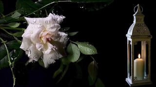 Nature beauty003