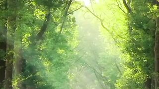 Beautiful view of nature