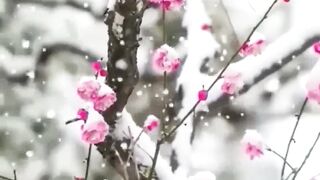 Beautiful view of nature