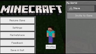 Minecraft Gameplay #1