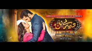 Tere Bin Episode 01 - Eng Sub] - Yumna Zaidi - Wahaj Ali - 28th December 2022 - HAR PAL GEO