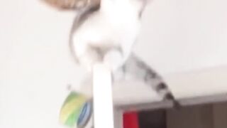It was fine when I came in, why can't I get out?