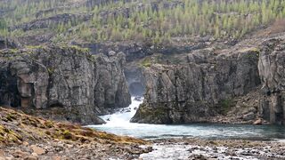 NATURE 30012,United States, Canada, Australia, UK