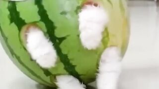 It's making me dizzy.