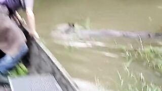 Catching Hogs