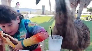 Breakfast in Australia