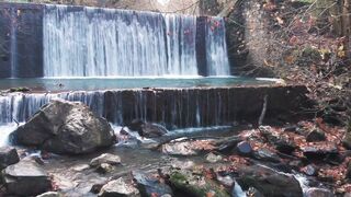 NATURE 30021,United States, Canada, Australia, UK