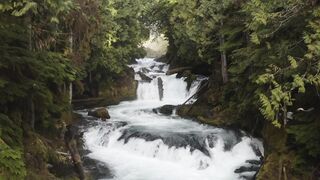 NATURE 30022,United States, Canada, Australia, UK
