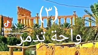 واحة مدينة تدمر ٣