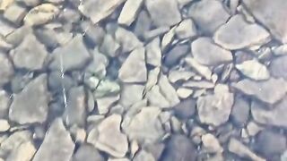 Isn't it satisfying |asmr