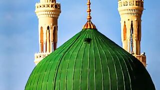jabh ek saap hazrat Muhammad SAW ke pas aya aur kuch bola #shorts
