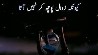 Best video for you