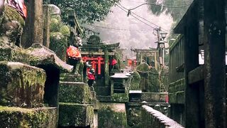 Fushimi Inari Shrine (Kyoto)/ 伏見稲荷神社 #kyoto